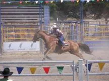 Riders performing at the Merrijig Rodeo